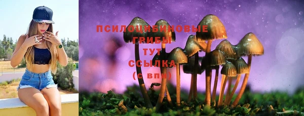синтетический гашиш Арсеньев