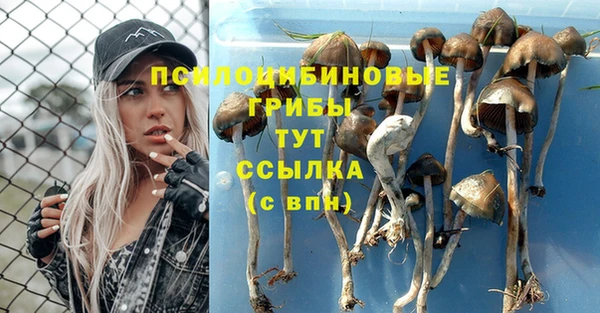 синтетический гашиш Арсеньев
